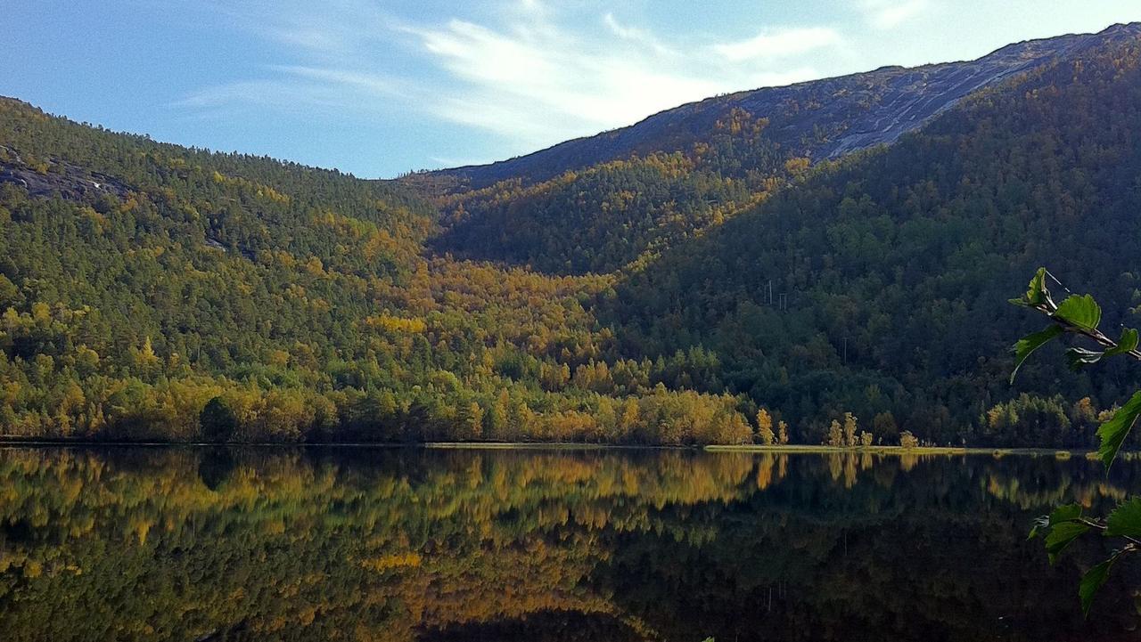Tommerneset Camping Otel Innhavet Dış mekan fotoğraf
